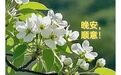 晚安心语丨岁月轮转，山河无恙，四时有序，万物循生，告别过往，扬帆起航！