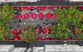 深圳:有一场从早吃到晚的庙会