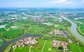 全省首批!湖州勇夺“神农鼎·银鼎”