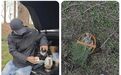 春野寻缘:沪上流行的挖野菜相亲,东北人会不会喜欢?