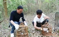鳳頭鷹、獼猴、赤狐……景德鎮昌江區放歸一批野生動物