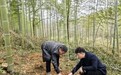 上饒銀行發放德興市首筆林權收儲擔保貸款