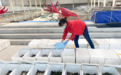 产值超7亿元!哈尔滨市农科院“寒地小龙虾养殖技术”入选省农业主推技术