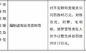 平安产险龙陵支公司编制虚假业务资料等被罚45万元