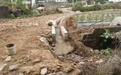 上犹县东山镇一村组高标准农田水渠积水直排道路 影响行人出行