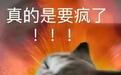 职场人心理崩溃的真相:这份自救指南请查收!