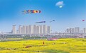 2025年江西省文化和旅游發展大會精彩發言摘登