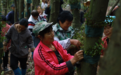 鷹潭：種植石斛促增收