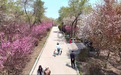 人间最美四月天 不负春光与时行——动植物公园邀您“上春山 共赴花路之约”