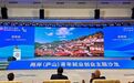 上饒文旅精彩亮相2025兩岸（廬山）青年交流發展大會 ——山水為媒架橋梁 文化共情促融合
