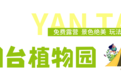 新發現！煙臺5??個隱藏款露營地，好玩到爆