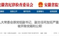 大搞官商勾连、利益勾兑 安徽一厅干被“双开”