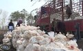 德惠市灵芝产业探索乡村振兴新路径