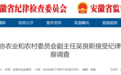 安徽一正厅级干部，任上被查！另有多人被处理
