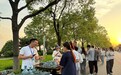 白龜湖畔啟“汝瓷集”！97個(gè)攤位點(diǎn)亮夏日陶瓷青創(chuàng)市集