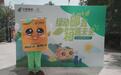绿动“邮”我,“箱”遇未来 ——6·5环境日中国邮政2025我是返箱行动π再度起航