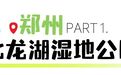 來河南“綠野尋蹤”，尋找一抹夏日清涼