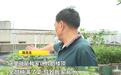公共楼顶竟成"私家菜园" 楼下住户苦不堪言!社区协调:限期拆除