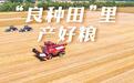 山东:“良种田”里产好粮