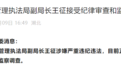 西塞山区城市管理执法局副局长王征接受纪律审查和监察调查