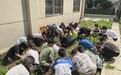 定远县年家岗小学“挖薯狂欢,一起“薯”获快乐”劳动实践活动