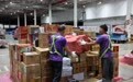 深圳机场“荔枝专线”助力岭南荔枝“鲜”达全国