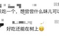 不要摘!不要吃!杭州街头正大量出现