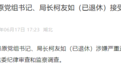 湖北两人被查