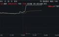 这两只股票,直拉20%涨停
