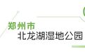 “夏”與“荷”到了！快來河南賞荷花
