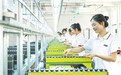 瑞昌：趕制出口訂單（圖）