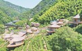 森宿上猶 康養(yǎng)勝地迎客忙