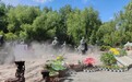 长春君子兰文化主题展启幕 以花为媒唤醒城市记忆
