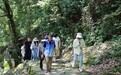 “四個100”文化導師下鄉計劃——浮梁文化遺產保護主題采風活動走進瑤里