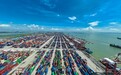 145亿巨无霸项目落地，南沙海洋经济发展迎多重叠加利好