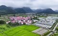 新余：田園如畫（圖）