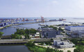 坚定信心 勇挑大梁 · 改革新成效 | 百年大港 “绿”见未来——秦港股份创建全国首家“五星级”绿色港区