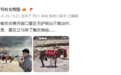 讲真|壶口瀑布景区给公驴鞭戴上套?微博站方转发辟谣