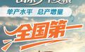 山东今年夏粮单产水平、总产增量均为全国第一