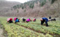 临江红松苗圃托起乡村振兴新希望