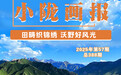 张掖民乐:田畴织锦绣 沃野好风光