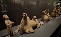 唐朝陶瓷版的“西游記”！鄭州大象陶瓷博物館上新啦