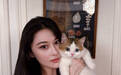 张馨予晒居家随拍,抱猫合影温馨又养眼