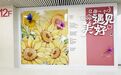 东昌府区妇幼保健院产科特需病房正式启用