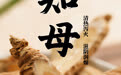 “AI”上中医药·每天认识一味中草药（58）｜知母