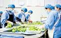 完善产业全链条，助力“河北净菜”新鲜直达