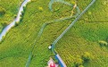 信陽茶旅一體化
