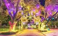 以光为引，共赴冰城夏夜浪漫！太阳岛荧光夜跑今晚启幕