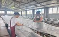 農行河南省分行“小漁網”織出致富路