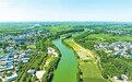 田野生機盎然